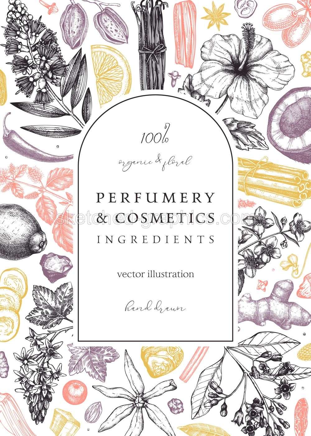 Aromatic plants card template. Perfumery ingredients frame. Flower, fruit, spice, herb sketches. Hand drawn vector illustration. Cosmetics packaging concept Illustration